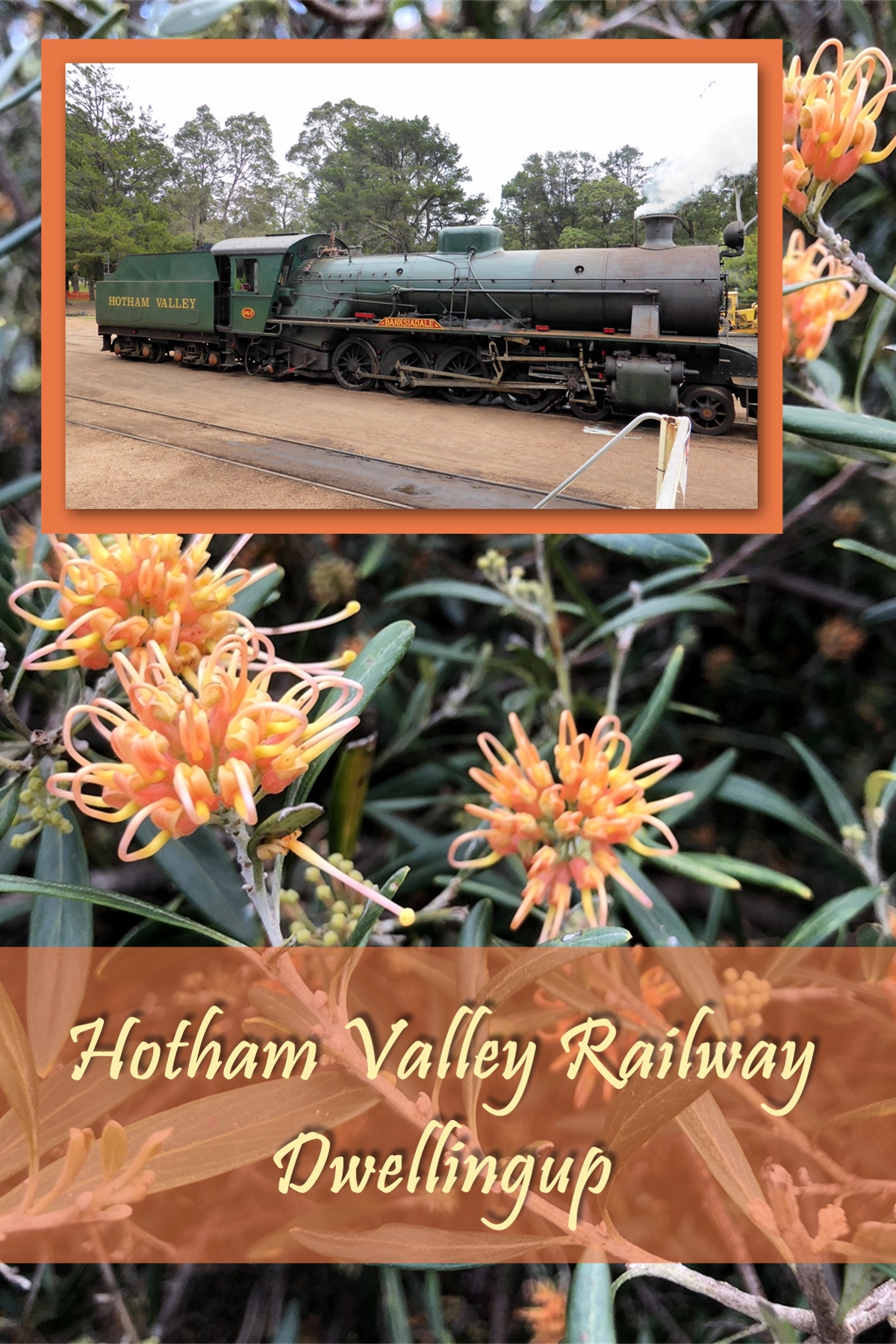 Hotham Valley Railway Pinterest cover