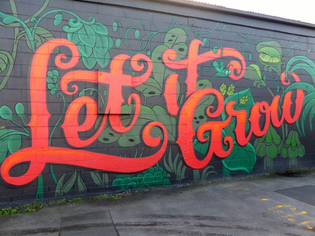 Street art words let it grow