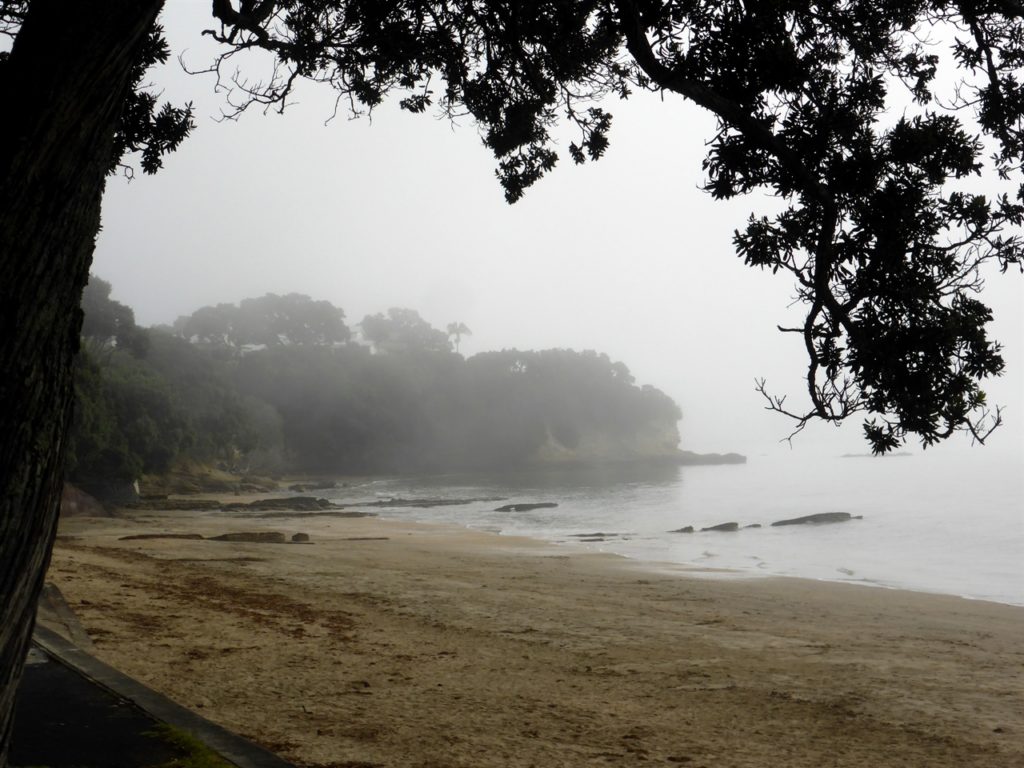 Misty beach photo
