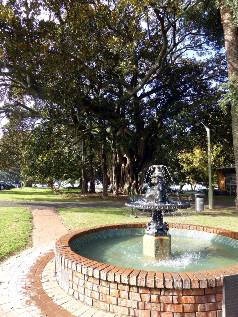 Fountain with fig tree behind