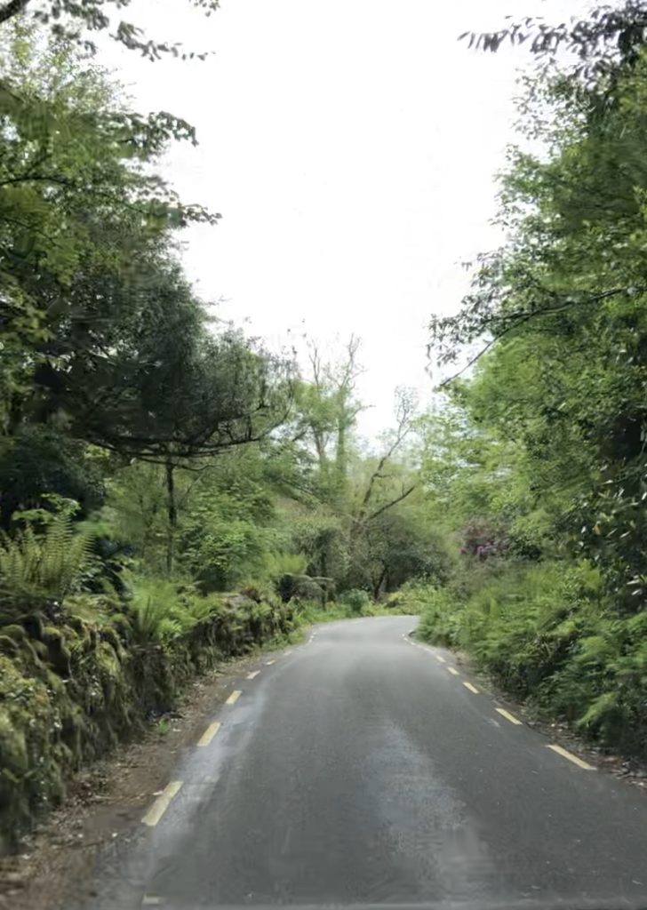 Narrow road in Ireland