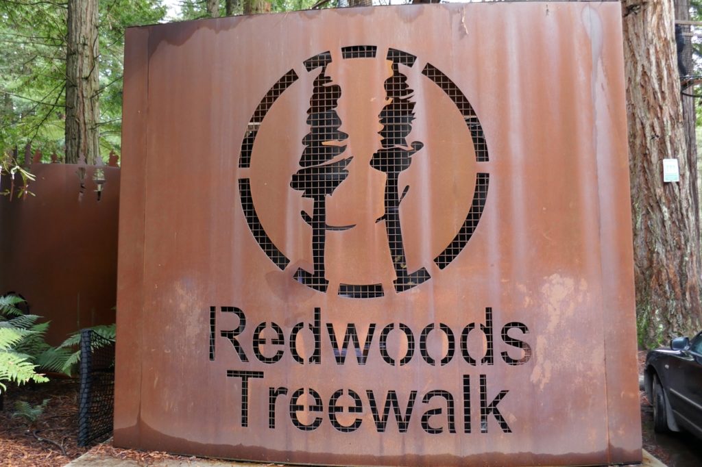Redwoods Treewalk Rotorua - Just Me And A Boarding Pass