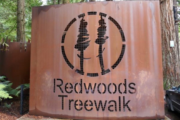 Redwoods Treewalk Entry