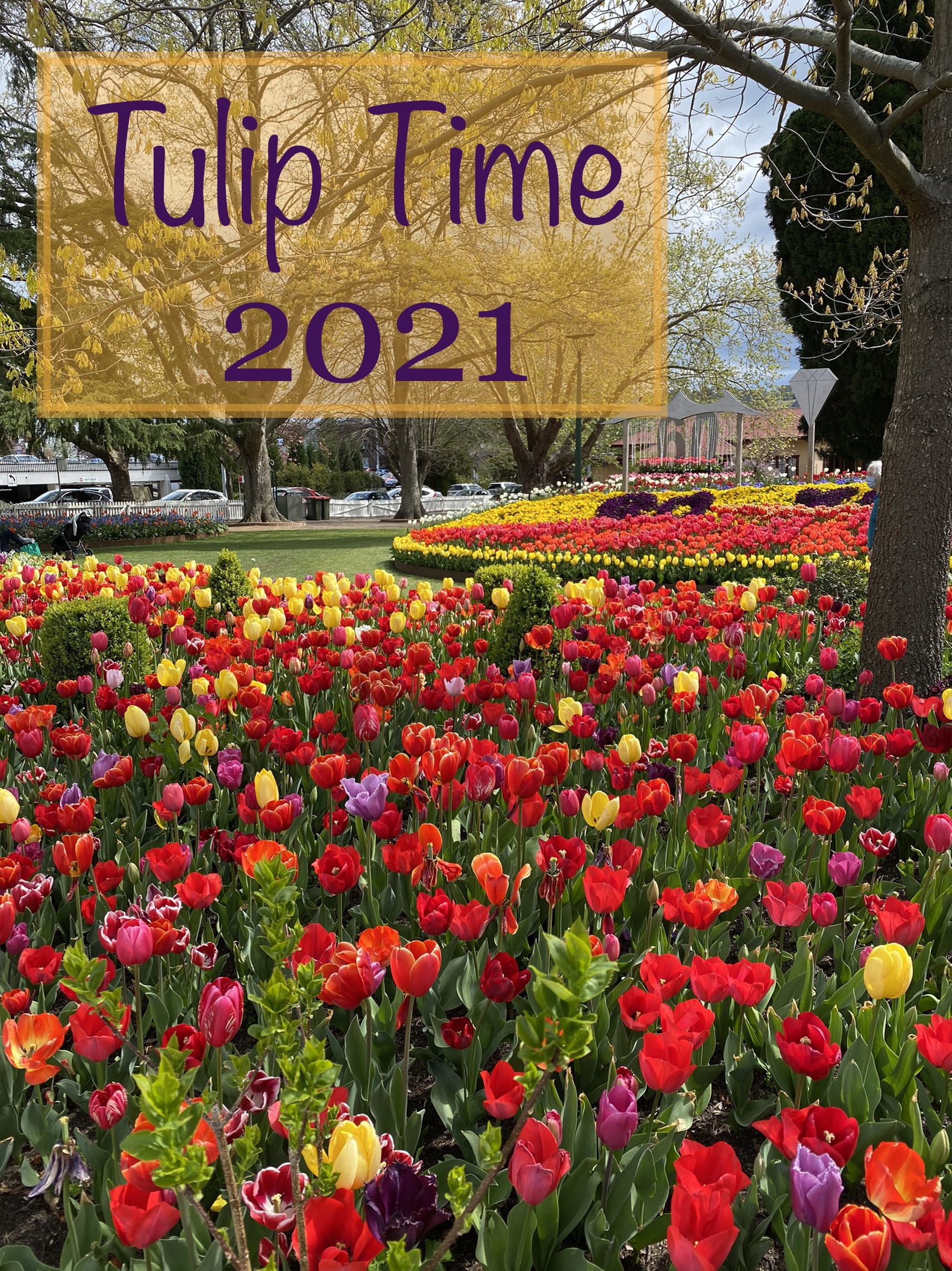 Tulip Time 2021