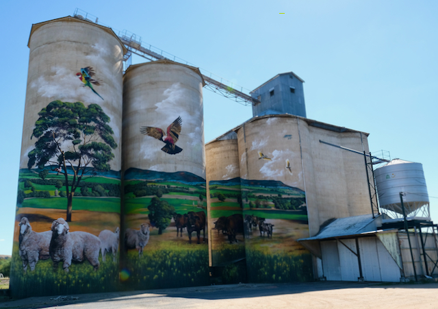 Silo Art in Grenfell full picture